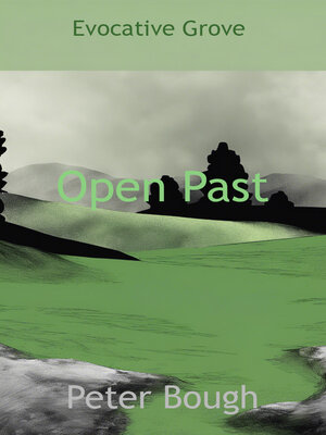 cover image of Open Past